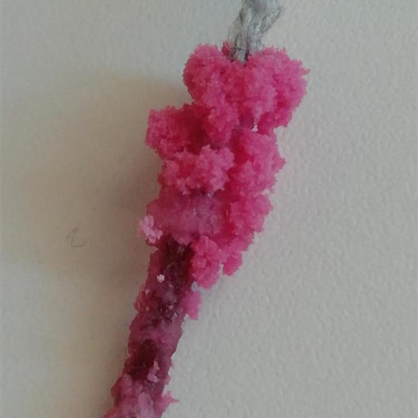 MicrosoftTeams-image (5)