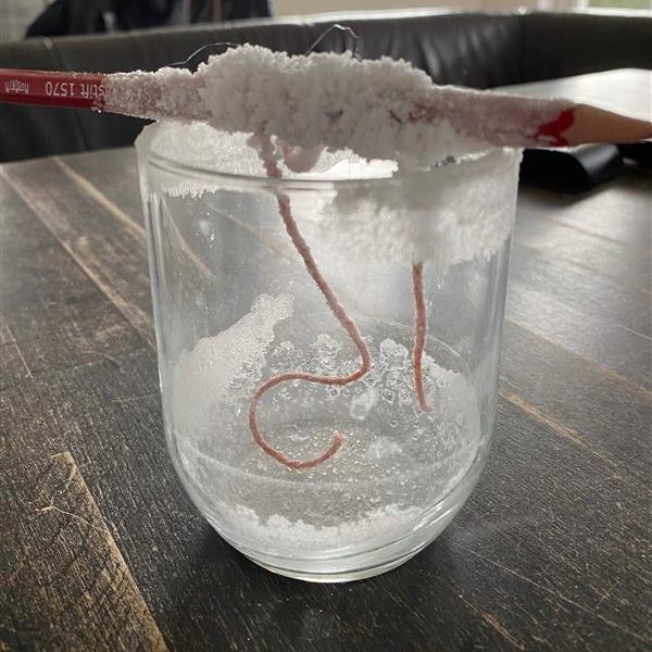 MicrosoftTeams-image (6)