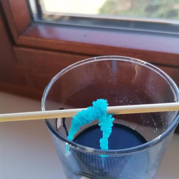 MicrosoftTeams-image (7)