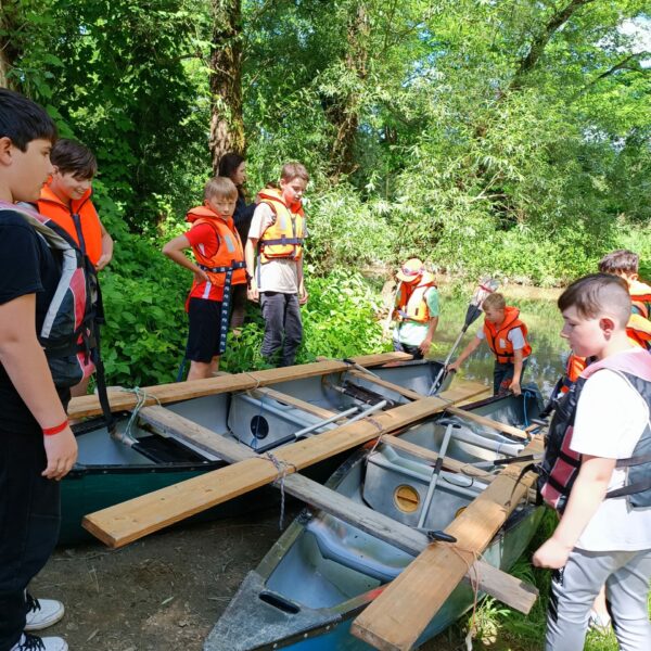 MicrosoftTeams-image (12)