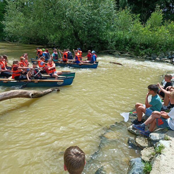 MicrosoftTeams-image (9)