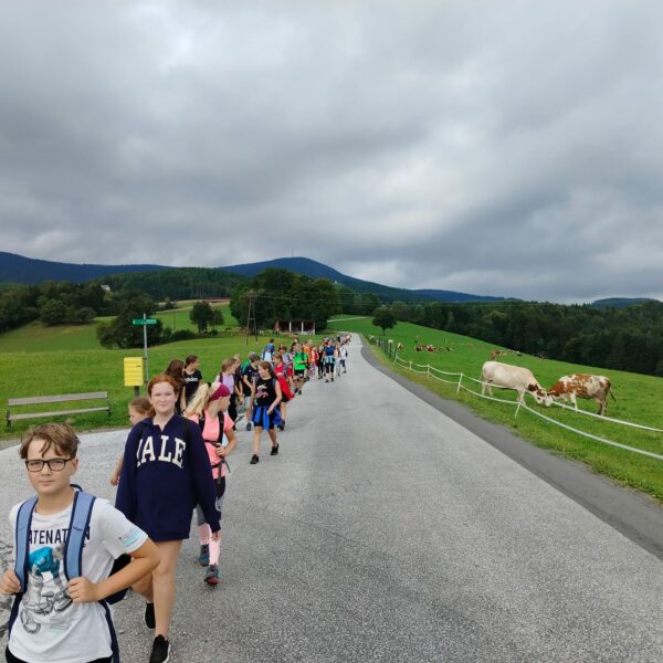 WhatsApp Image 2023-09-29 at 09.45.13 (1)