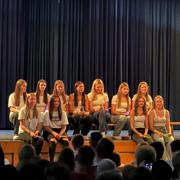 3bad8d0a-1d2e-4c38-a54b-c0fcc325236f