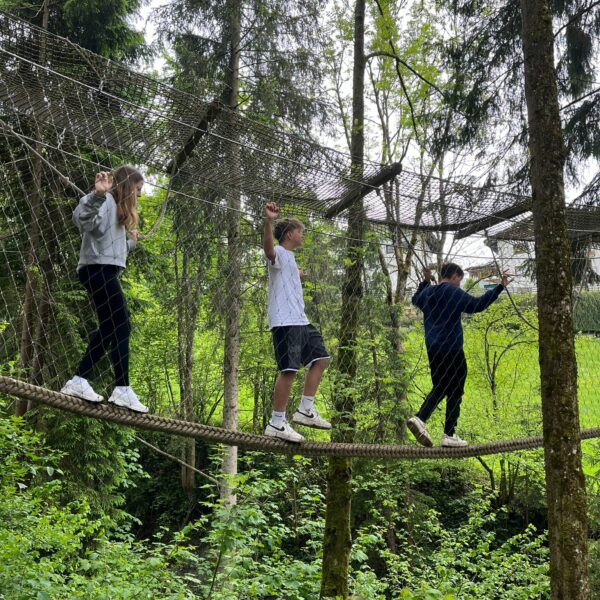 37859f0a-c565-4fa8-8d47-a9991f4cba4c