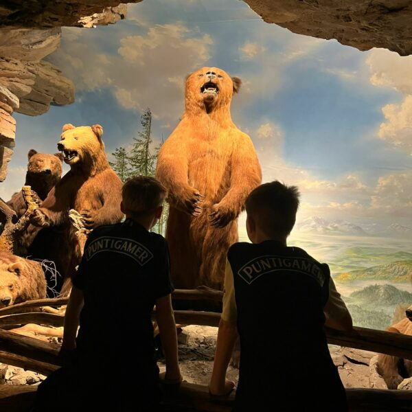 9be1465d-b556-45c3-9a3f-299af7d617ba