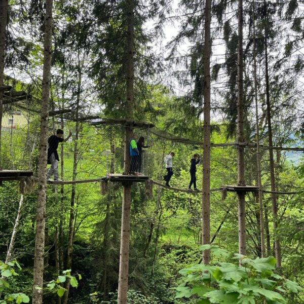 e34daae1-f9c5-4ed9-b752-7563044e1dfe