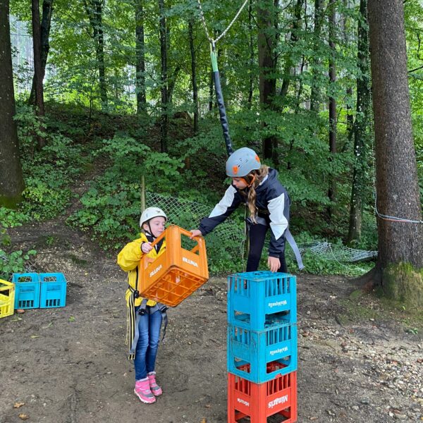 d618fba0-b9bc-4a8c-9471-54c6f23d50b5